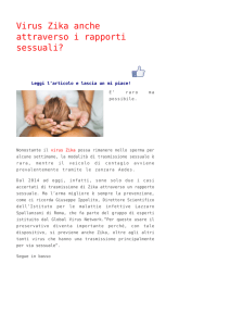 Virus Zika anche attraverso i rapporti sessuali?