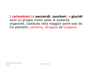 1. I carboidrati