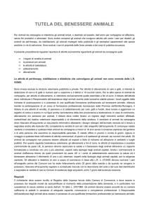 Modalità per l`apertura di attività relativa ad animali da compagnia