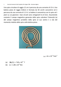 Una spira circolare di raggio 12 cm è percorsa da una corrente di 15