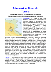 Tunisia - joycard