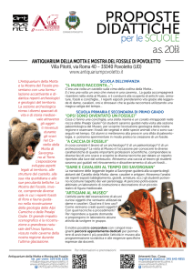 Proposte didattiche per le scuole – a.s. 2015/16: Museo Antiquarium
