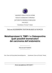Visualizza/apri