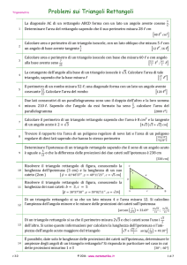 Problemi sui Triangoli Rettangoli