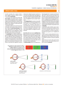I difetti della vista - Zanichelli online per la scuola
