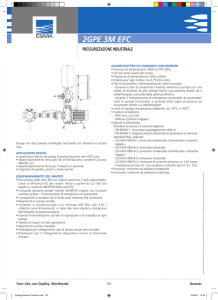 2GPe 3M eFc - EBARA Pumps Europe SpA