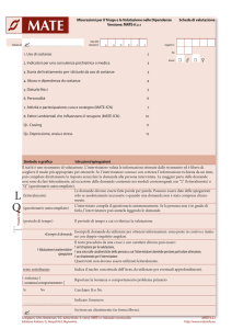 MATE: Measurements in the Addictions for Triage and