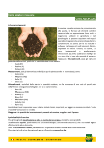 T80 Scegliere il concime