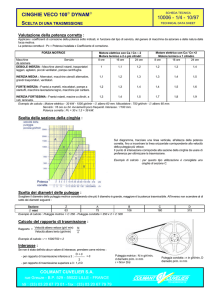 CINGHIE VECO 100 DYNAM 10006 - 1/4