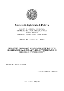 Tesi di master - Erika Rampado