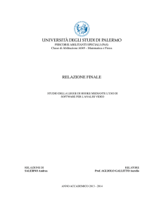 Relazione Finale - Fisica e Chimica