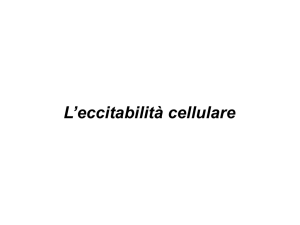 Diapositiva 1