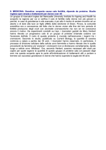 Vedi allegato