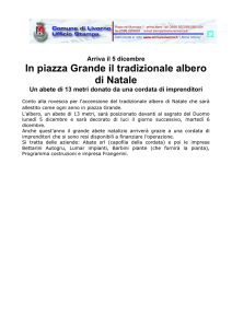In piazza Grande il tradizionale albero di Natale