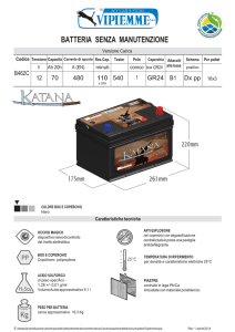 BATTERIA SENZA MANUTENZIONE