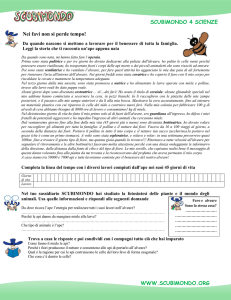 Nei favi non si perde tempo