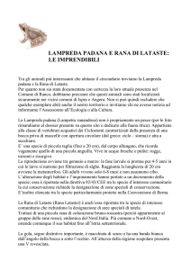 lampreda padana e rana di lataste