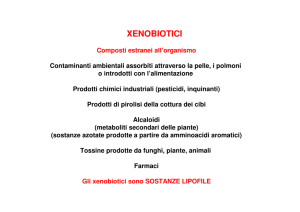 XENOBIOTICI