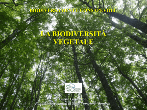 Presentazione di PowerPoint