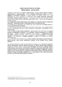 CRATAEGUS OXYACANTHA (Biancospino) – giovani getti