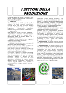 i settori della produzione