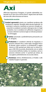 bientale sia ai climi che ai terreni diversi. Vegeta bene dal livell
