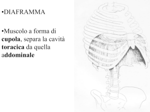 Nessun titolo diapositiva