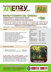 RISTRUTTURANTE DEL TERRENO