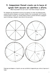 5. Composizioni floreali create con le bucce di agrumi fatti seccare