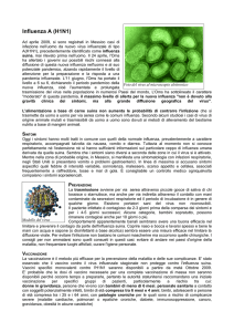 L`influenza A - Istituto "San Giovanni Bosco"