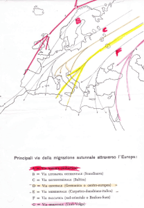`0 Principali vie della migrazione autunnale attraverso l` Europa: