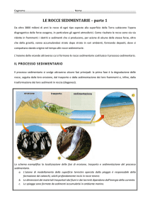 le rocce sedimentarie