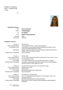 formato europeo per il curriculum vitae