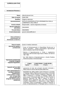 curriculum vitae