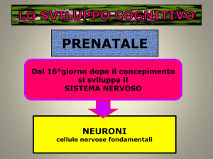 DAL SENSO COMUNE ALLA PSICOLOGIA
