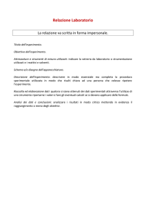 Relazione Laboratorio