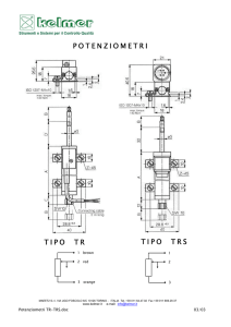 scheda tecnica