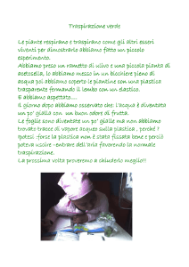 Traspirazione verde