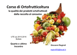 4° incontro A
