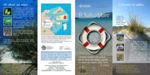 Il deserto di sabbia Gli alberi del mare