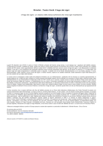 Brindisi - Teatro Verdi: Il lago dei cigni