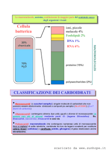 Cellula batterica