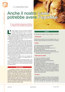 Anche il nostro cane potrebbe avere l`epatite Anche il nostro cane