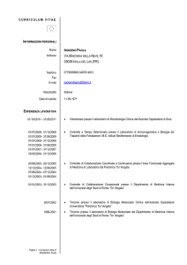 curriculum vitae