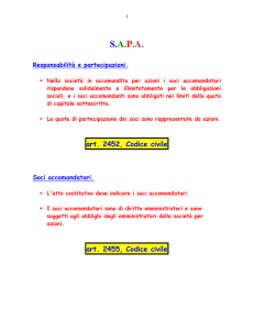 SAPA S.r.l.