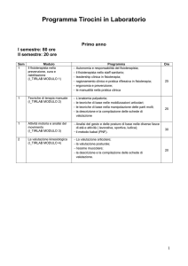 Programmi attività (all. 2)