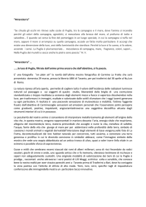 recensione mostra carmine la fratta