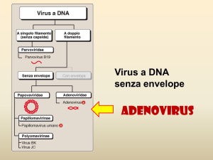 Diapositiva 1