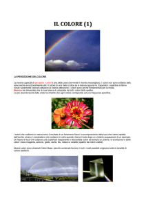 IL COLORE 1 percezione