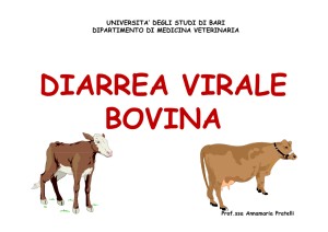 UNIVERSITA` DEGLI STUDI DI BARI DIPARTIMENTO DI MEDICINA